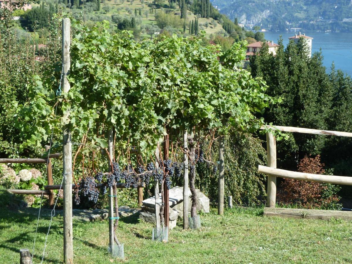 Bellagio Il Crotto 빌라 외부 사진