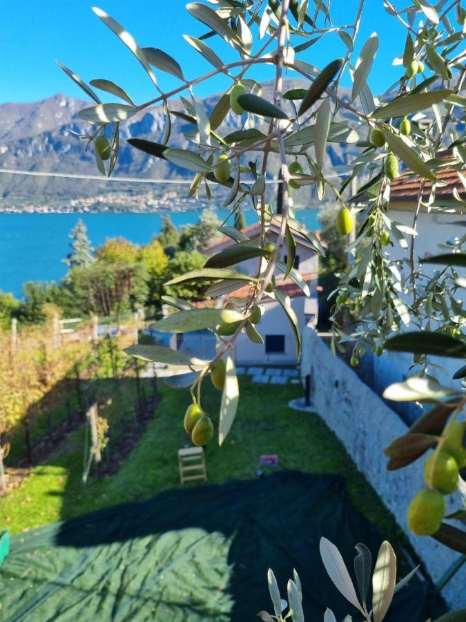 Bellagio Il Crotto 빌라 외부 사진