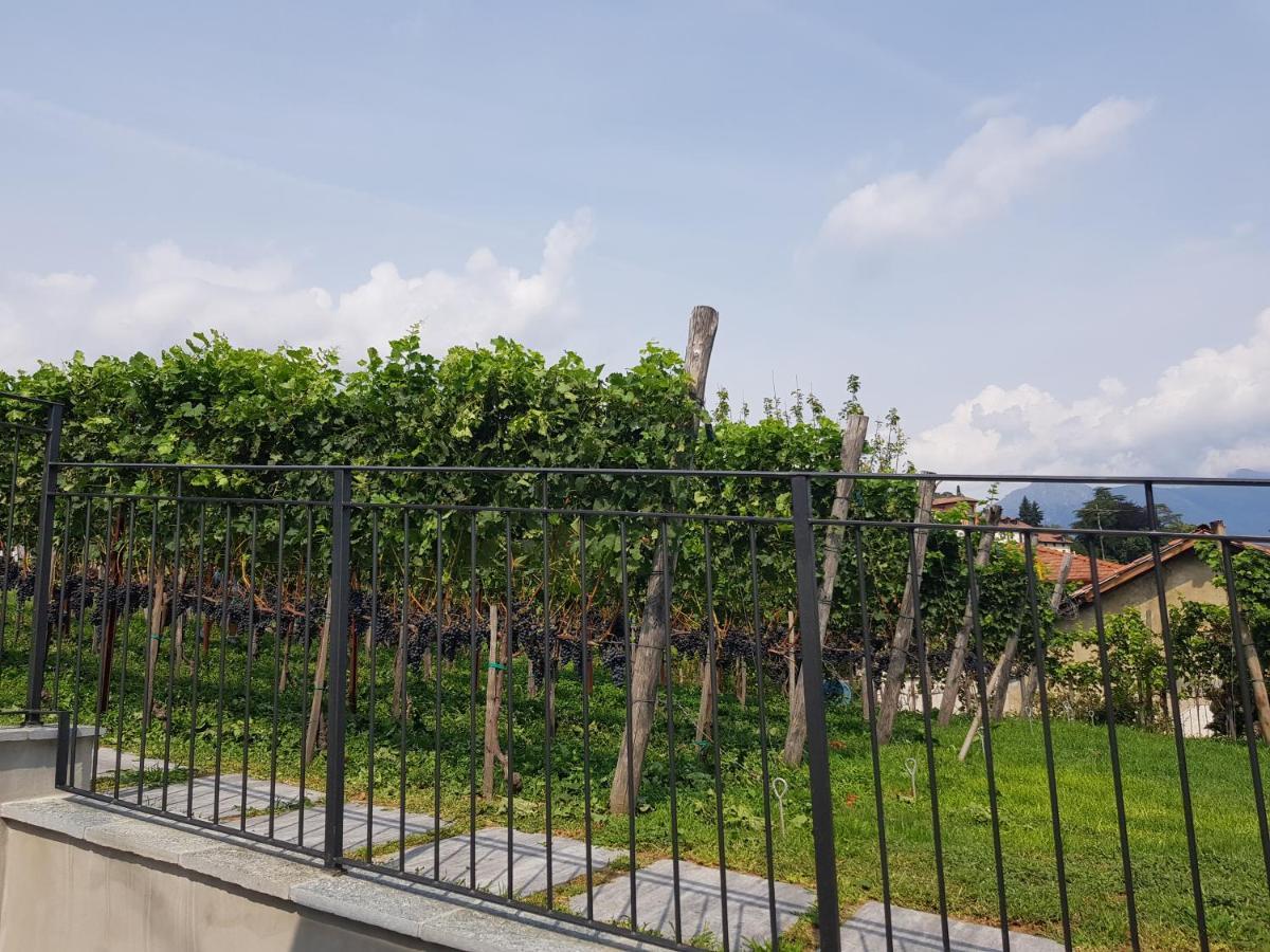Bellagio Il Crotto 빌라 외부 사진